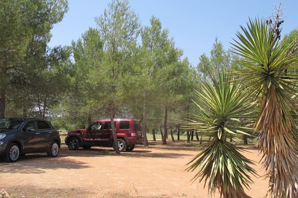 Gran Casa, Lagunas De Ruidera, Bbq, Porche, Chimenea Buitenkant foto