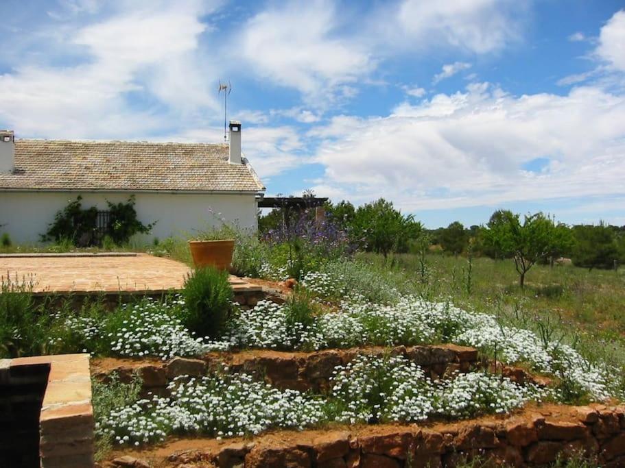 Gran Casa, Lagunas De Ruidera, Bbq, Porche, Chimenea Buitenkant foto