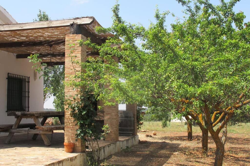 Gran Casa, Lagunas De Ruidera, Bbq, Porche, Chimenea Buitenkant foto